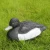 Import Garden decoration Plastic Green Head Duck Decoy For Duck Hunting from China