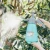 Import Garden pressure water plant flower sprayer spray bottle pump from China