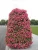 Import Garden Supplies Outdoor Decoration Plastic Tower Shaped Plant Pots Vertical Garden Tower from China