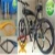 Import gas bicycle frame 3.75L tank/bicycle from China