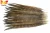 Import Gold Supplier from ZPDECOR Wholesale Stock Selected Top Quality 50-55 cm Natural Ringneck Pheasant Tail Feather from China