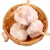 Import Good Quality Fresh Vegetables Shandong Fresh Garlic from China