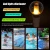 Import Good quality Solar PC Material LED Flame lamp IP68 Waterproof for Garden Outdoor Swimming Pool Solar Frame Lamp from China