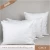 Import goose feather pillow,hotel duck feather pillow,washable down alternative pillow from China