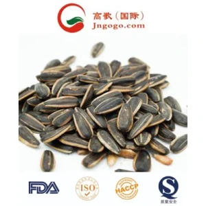 Grade a Quality Roasted and Salted Sunflower Seeds