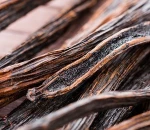 Grade A Super Long Vanilla Bean 20cm