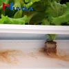 grow media rock wool  for hydroponics agriculture grow cubes grow slab