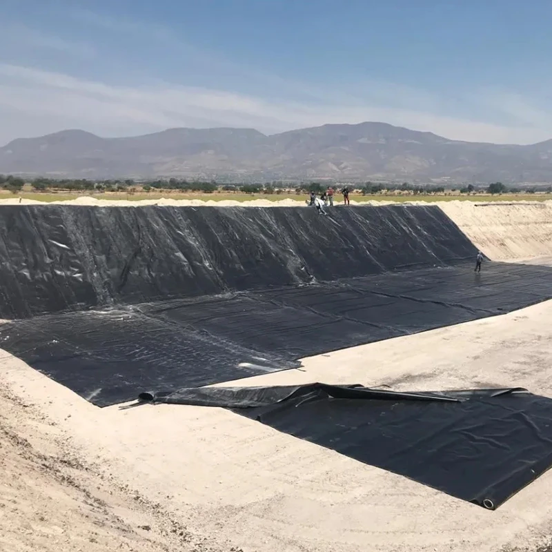 Hdpe Geomembrane Waterproofing Pond Lining 6m to 8m Width Geomembrane Pond Liner