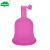 Import Healeanlo Hygiene Silicone Lady Drain Valve Folding Menstrual Cups with lid collapsible period cup from China