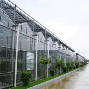 Heavy Duty Luxury Glasshouse Aluminium Garden Indoor Tropical Victorian Winter Glass Greenhouse Venlo Multi-Span Greenhouses