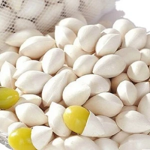 High Grade Ginkgo Nuts ,Peeled Ginkgo Nuts,Raw Ginkgo Nuts  For sale.