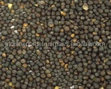 High Grade Rapeseed For Sale