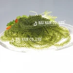High Quality A Grade Characteristics Taste Fresh Salted Style Grape Seaweed Made In Vietnam