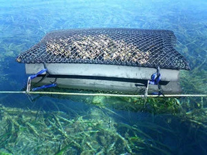 high quality aquaculture mesh / oyater mesh / HDPE mesh
