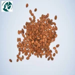 high quality Bitter Apricot Seed