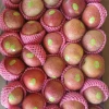 High Quality NEW Crop Fresh Fruits Qinguan Apple