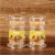 Import high quality Plastic transparent Bottle Packed Bamboo natural Toothpicks from China