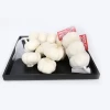 High quality pure white fresh garlic from China