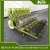 Import high quality seed planter/ vegetable seeder/ onion planter machine from China