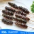 Import HL011 Hot sale Nutritious sea cucumber in the philippines from China