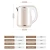 Import Home Appliance Water Heating electric kettle coffee machine 1L Stainless Steel travel kettles from China