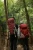 Import HOMFUL Outdoor Sports Mountaineering Bag Camping Hiking Backpack Waterproof from China