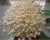 Import Hot airflow popco caramel popcorn machine grain rice cereal air puffing bulking machine price for sale from China
