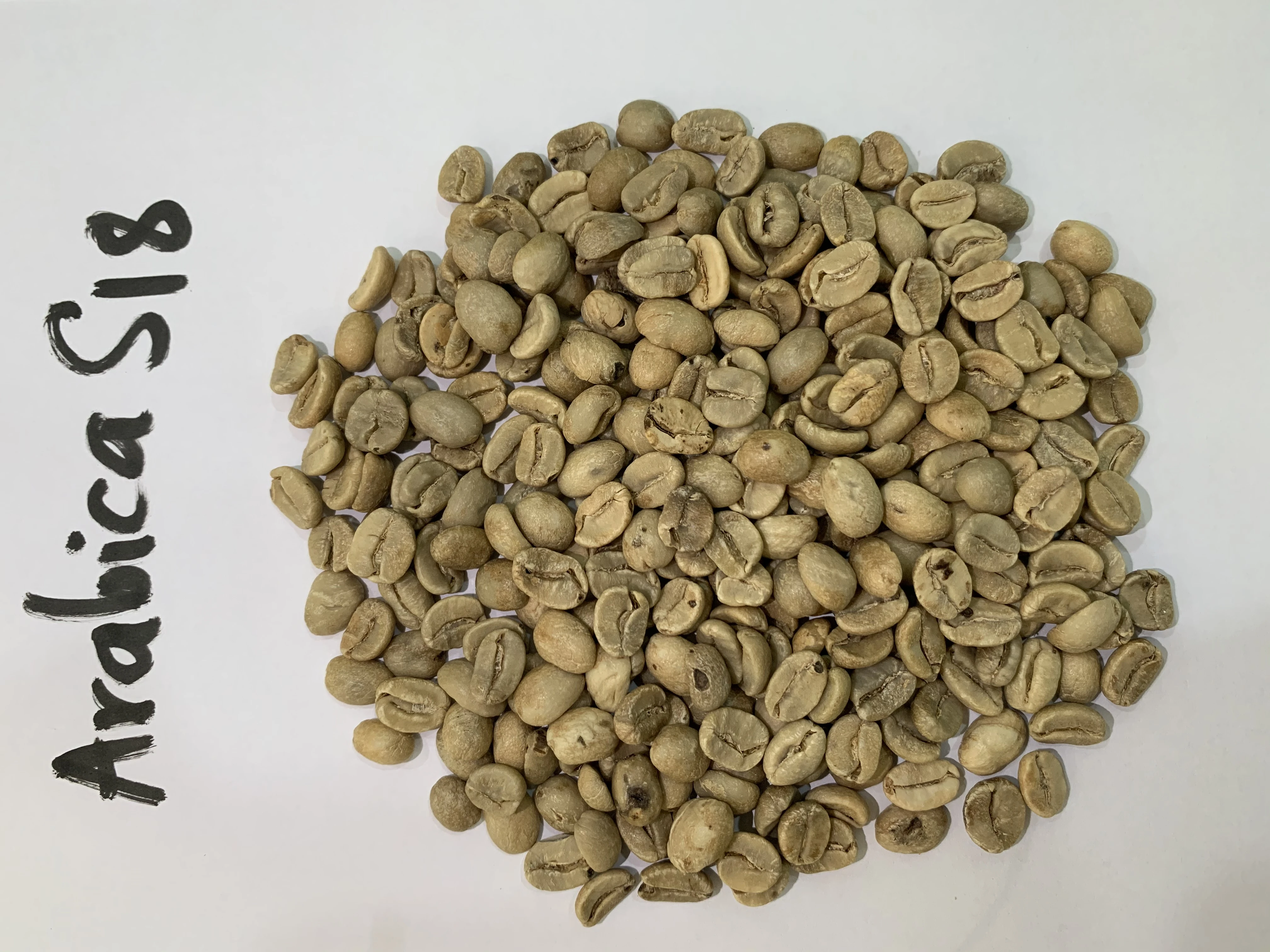 Hot Sale 2020 Unroasted Raw Price of Raw Coffee Beans Vietnam Export Products Green Roasted Ground Arabica Coffee Beans COMMON