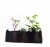 Import hot sale  black grow pot vegetables planting bags from China