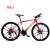 Import Hot Sale Popular 21 Speed Outdoor Bicycle Mountain Bike from China