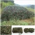 Import Hot selling camouflage net 5x5 china camouflage net fabric camouflage netting for shade from Hong Kong