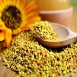 Hot-Selling Rape Bee Pollen Manufacturer