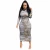 Import Hot style women 2020 hot sale popular cloth fashionable leopard and Zebra Print Dress from China