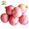 [HOT]China Red Onion/Chinese Red Onion
