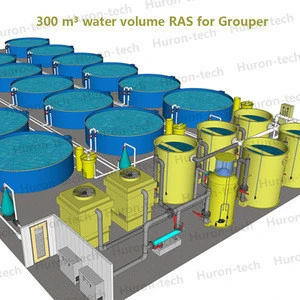 Indoor recirculating aquaculture system fish farm RAS equipment for grouper
