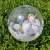 Import Inflatable Clear PVC Fruit 3D Beach Ball  With Custom Logo Printing from China