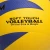 Import International Customize Your Own Volleyball for Training, Branded Soft Volleyball Ball Regular Size 5 from China
