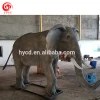 ISO 9001 amusement park fiberglass artificial elephant