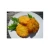 Import Japan Crab Croquette top quality customized children diet snacks from Japan