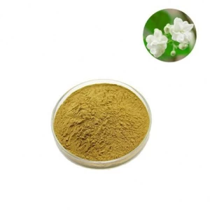 Jasmine Tea / Fresh Jasmine Flower Extract Powder / Green Tea Extract