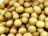 Jin Shitong fresh potatoes specially exported supplier with AAA Grades and high levels