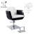 Import King shadow wholesale  barber chair parts salon furniture from China