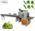 Import kl-600tx vegetable packing machine with TTO date Printer from China