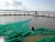 Import knotless fishing cage net, knotless fishing net, hdpe fishing cage net from China