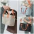 Import Large Capacity 2In1 Multifunctional Waterproof Diaper Bag Mummy Sling Bag Stroller from China