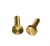 Import Manufacturer Of Hardware Fasteners Supply Brass Thumb Screw For Furniture In Dalang Dongguan from China