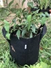 More specifications grow bags for Plants grow