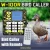 Import MP3 Bird Decoy with Remote Control from China