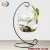 Import Multiple modeling glass hanging vase glass terrarium with metal stand from China