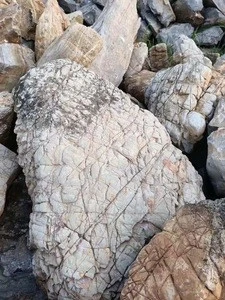 Natural aquarium decoration Ancient stone turtle grain stone dragon rock for landscaping and gardening